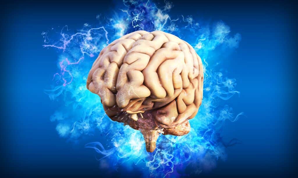 How To Boost Brain Power Naturally, 7 Simple Ways. Are You Getting Your Omegas?